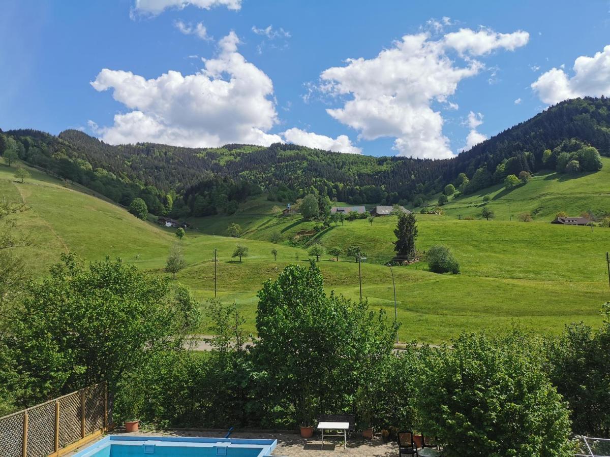 Ferienwohnung Vogelsang Im Schwarzwald มึนสเตอร์ทัล ภายนอก รูปภาพ