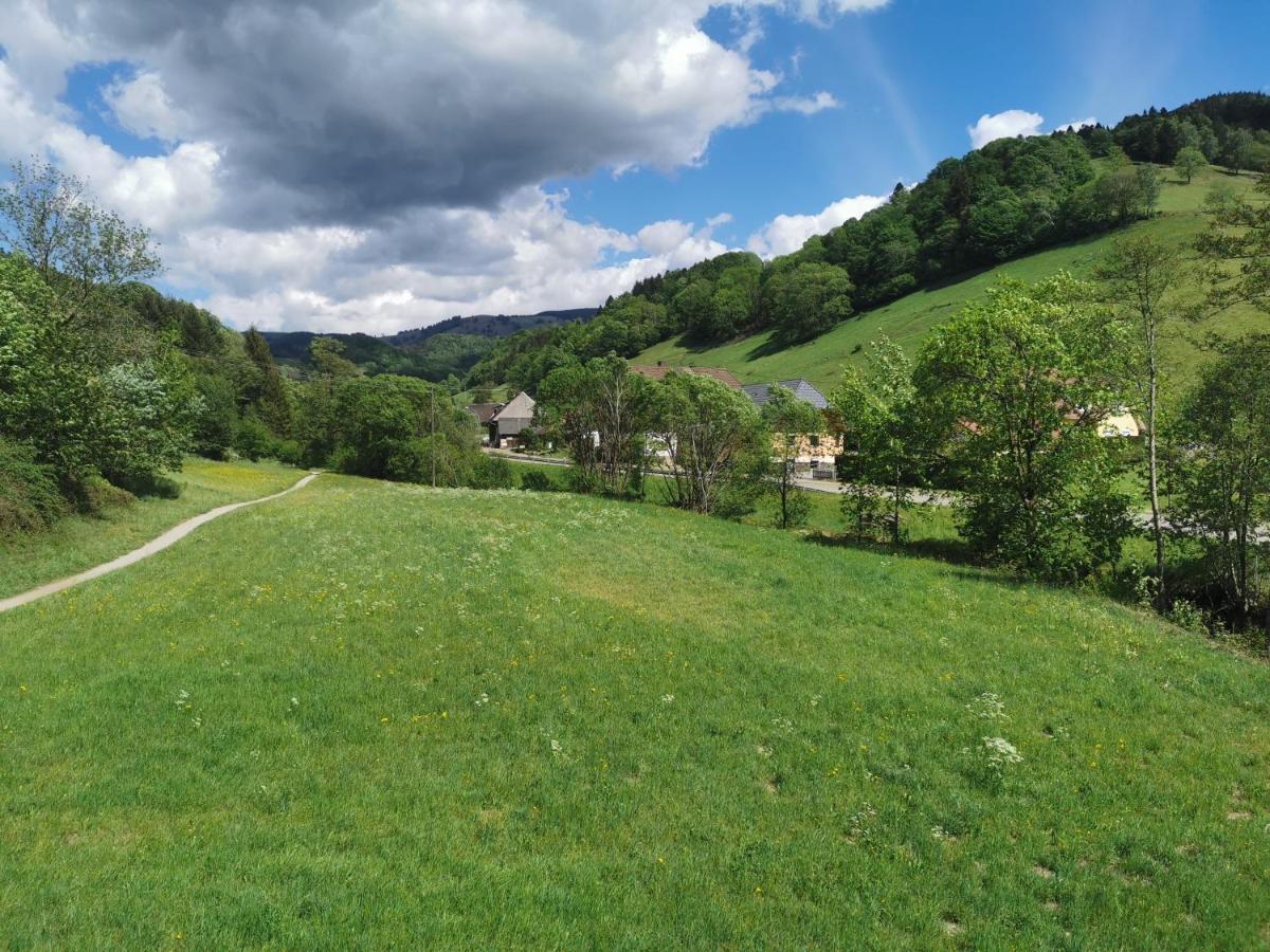 Ferienwohnung Vogelsang Im Schwarzwald มึนสเตอร์ทัล ภายนอก รูปภาพ