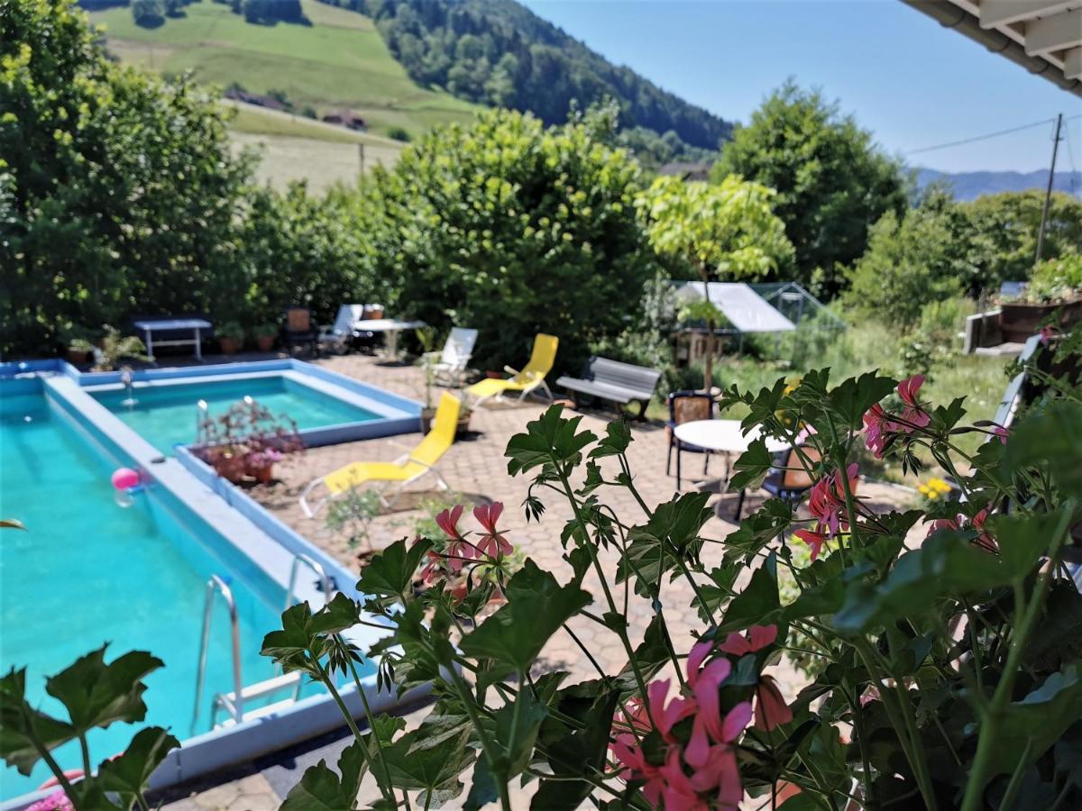 Ferienwohnung Vogelsang Im Schwarzwald มึนสเตอร์ทัล ภายนอก รูปภาพ