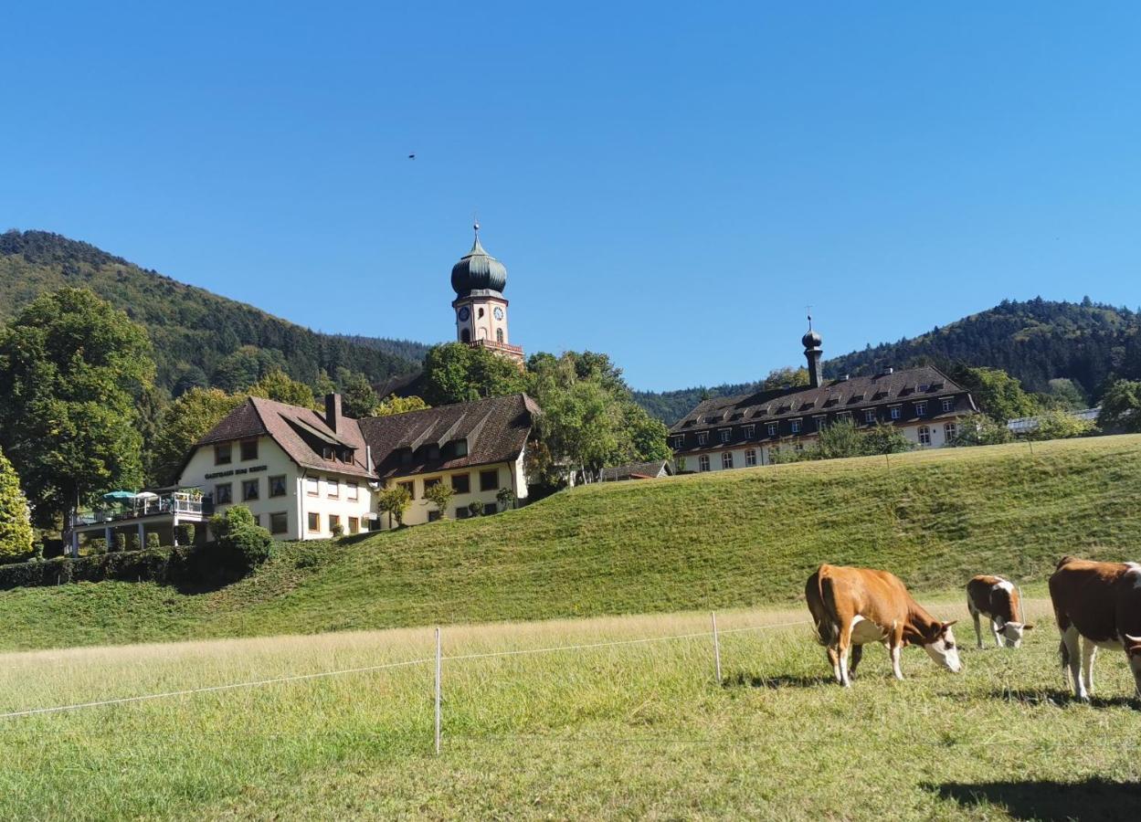 Ferienwohnung Vogelsang Im Schwarzwald มึนสเตอร์ทัล ภายนอก รูปภาพ