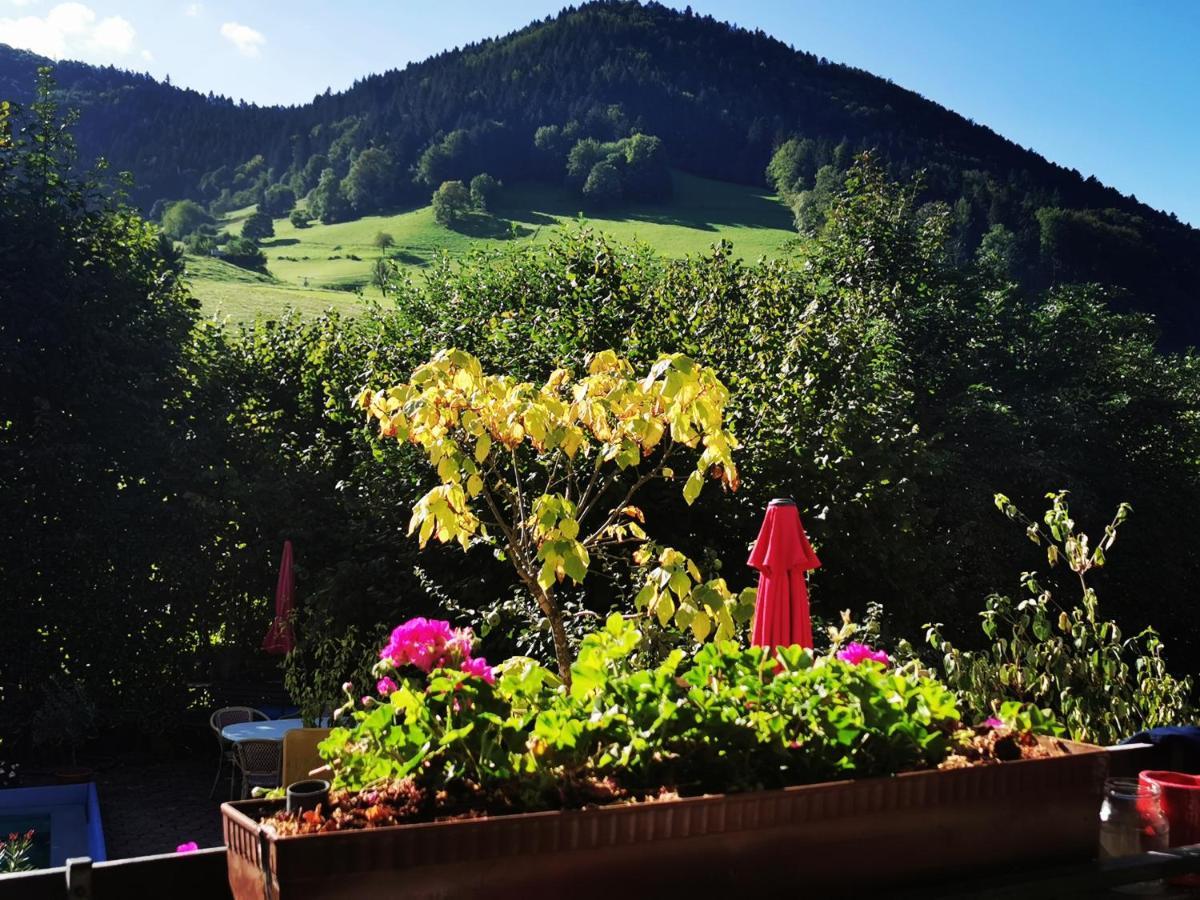 Ferienwohnung Vogelsang Im Schwarzwald มึนสเตอร์ทัล ภายนอก รูปภาพ