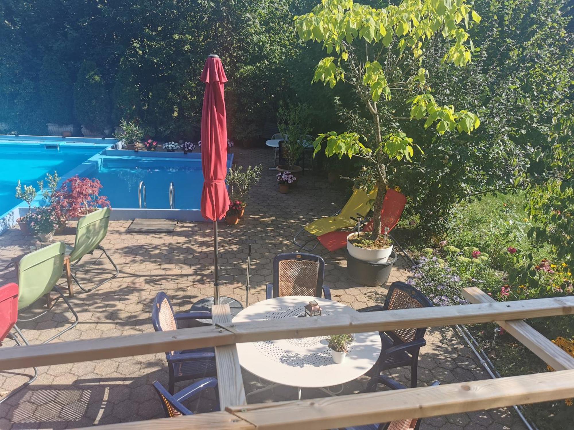 Ferienwohnung Vogelsang Im Schwarzwald มึนสเตอร์ทัล ภายนอก รูปภาพ