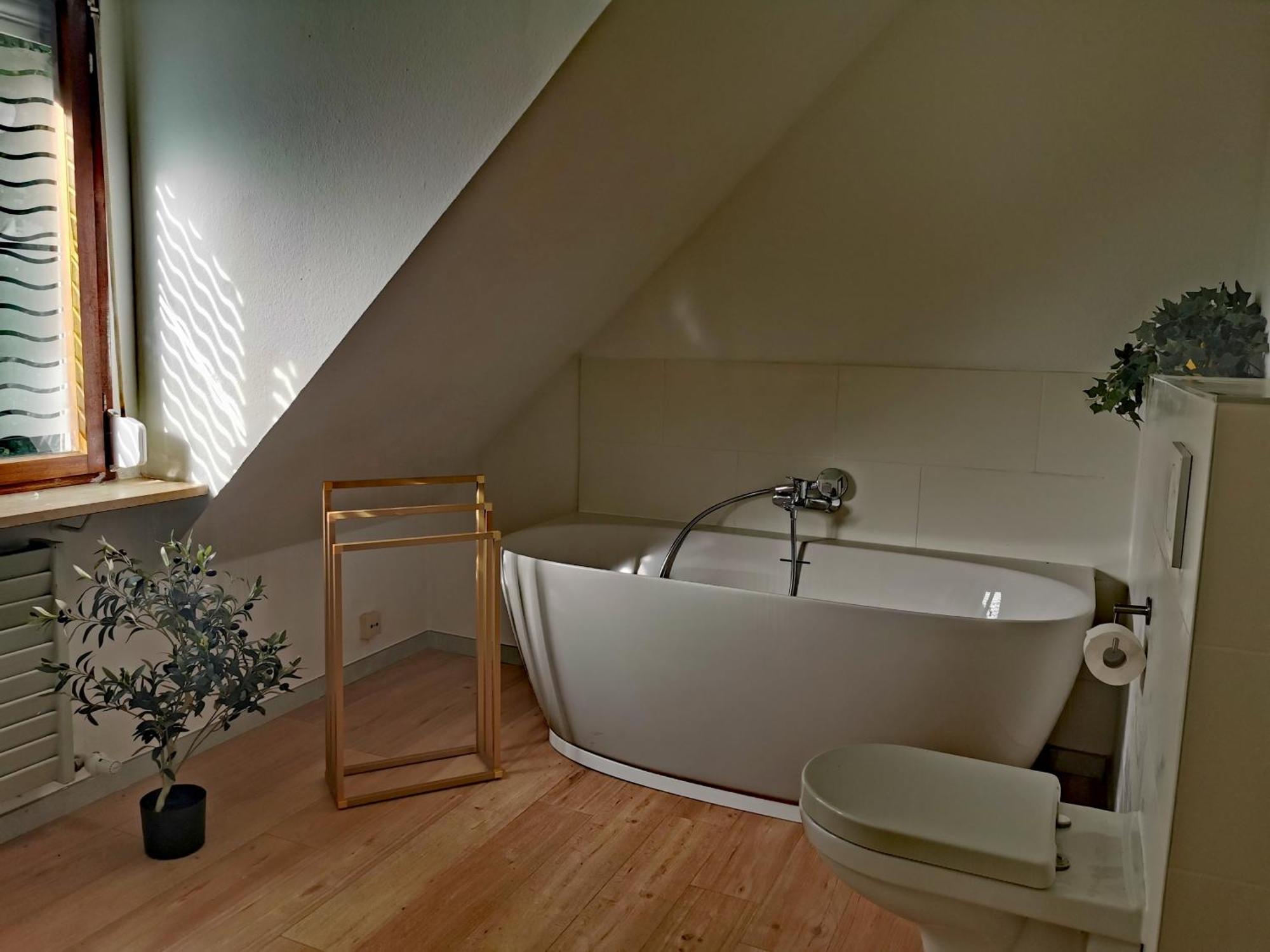 Ferienwohnung Vogelsang Im Schwarzwald มึนสเตอร์ทัล ภายนอก รูปภาพ