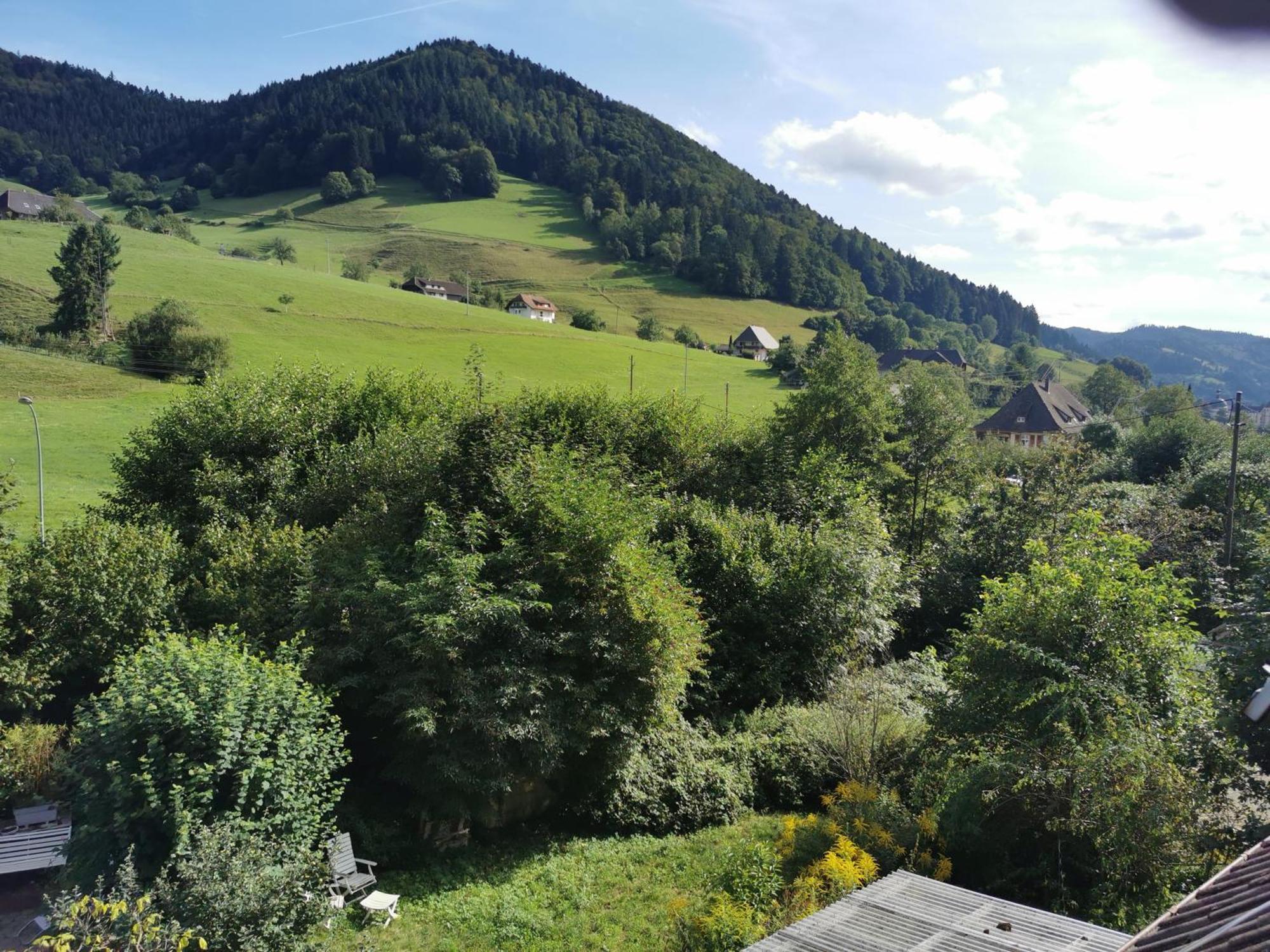 Ferienwohnung Vogelsang Im Schwarzwald มึนสเตอร์ทัล ภายนอก รูปภาพ
